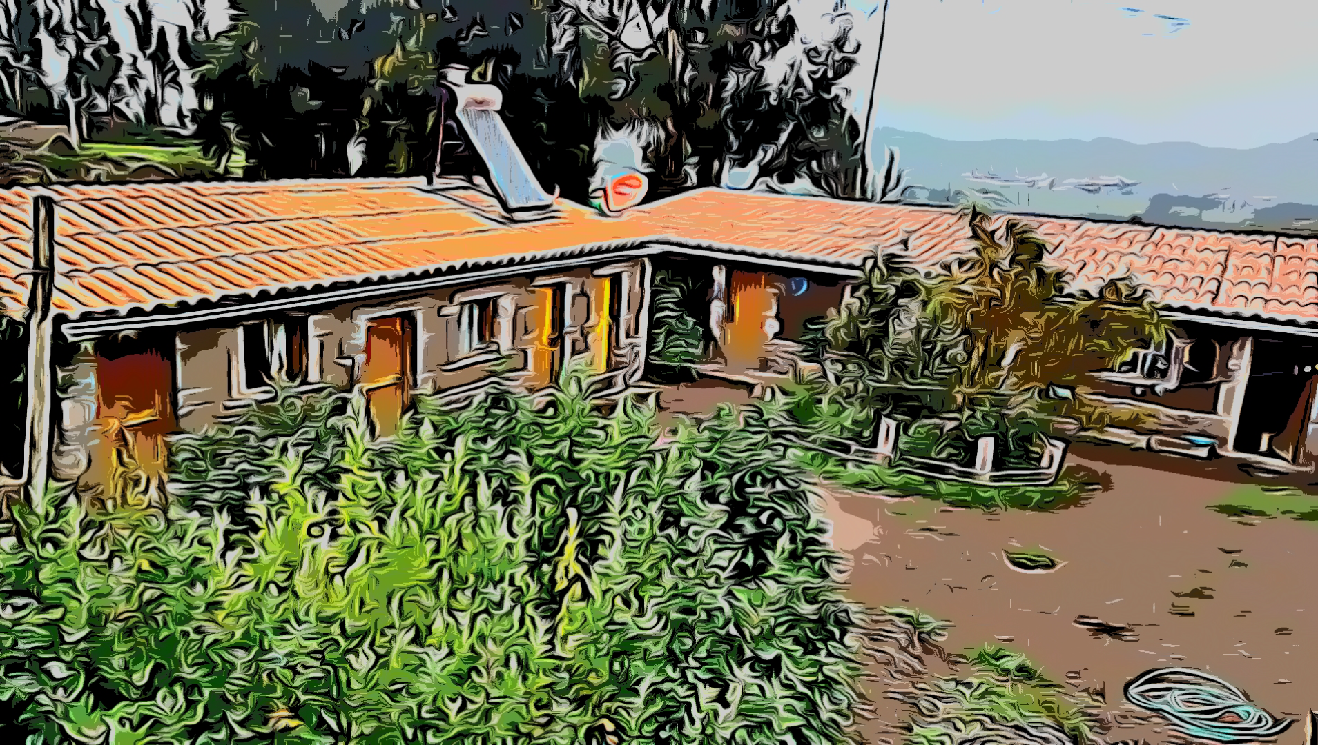 Caso de éxito: Las dueñas del Colca